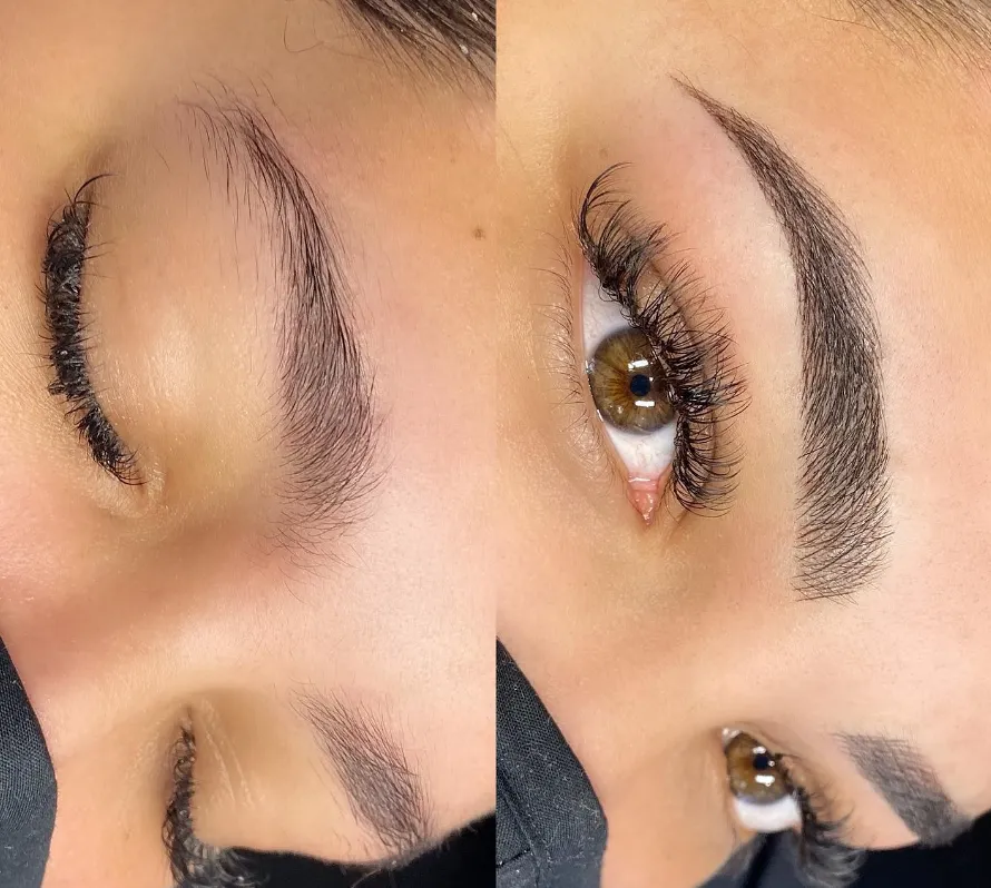 hybrid brows